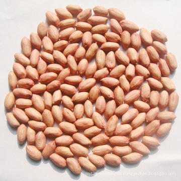 Good Quality Peanut Kernel for Sale (24/28)